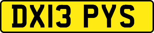 DX13PYS