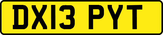 DX13PYT