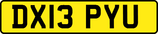DX13PYU