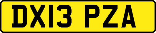 DX13PZA