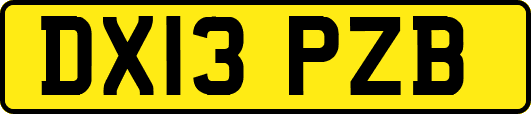 DX13PZB