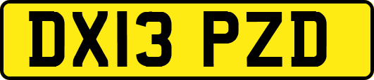 DX13PZD