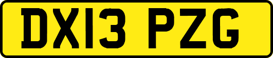 DX13PZG