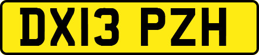 DX13PZH