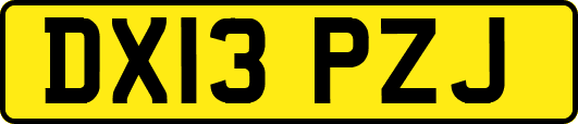 DX13PZJ