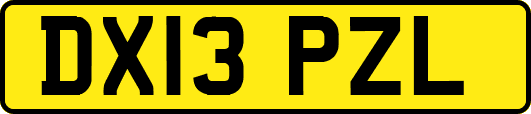 DX13PZL