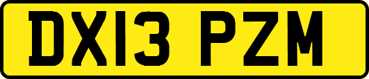 DX13PZM