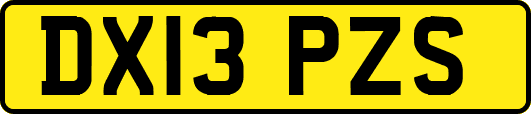 DX13PZS