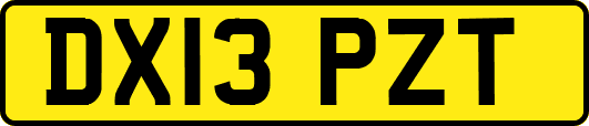 DX13PZT