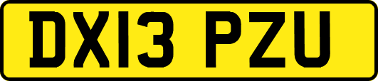 DX13PZU