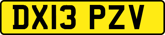 DX13PZV