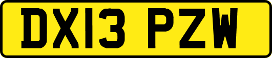 DX13PZW