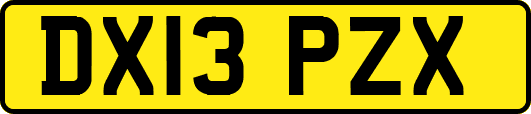 DX13PZX
