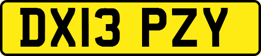 DX13PZY