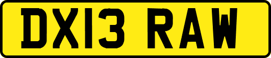 DX13RAW