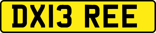 DX13REE