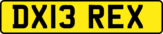 DX13REX