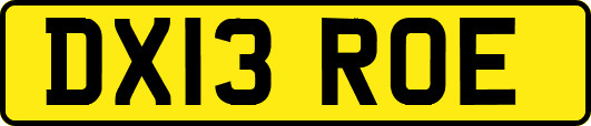 DX13ROE
