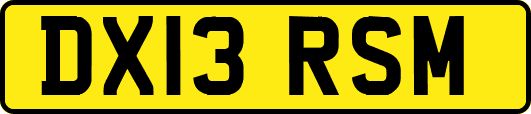DX13RSM