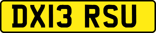 DX13RSU