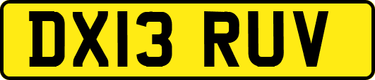 DX13RUV