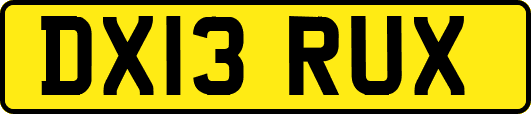 DX13RUX