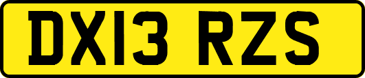 DX13RZS