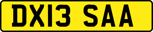 DX13SAA