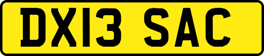DX13SAC