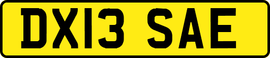 DX13SAE