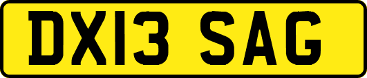 DX13SAG