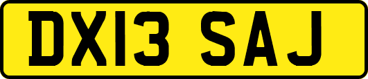 DX13SAJ