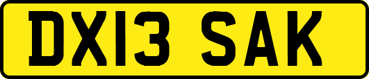 DX13SAK