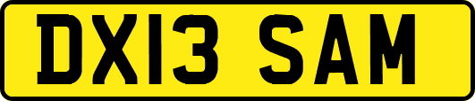 DX13SAM