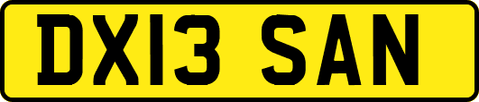 DX13SAN