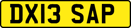 DX13SAP