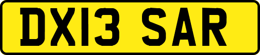 DX13SAR