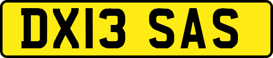 DX13SAS