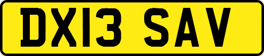 DX13SAV