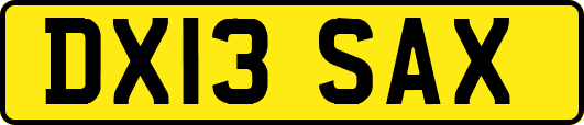 DX13SAX