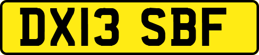 DX13SBF