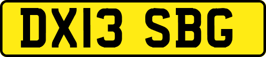 DX13SBG