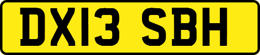 DX13SBH