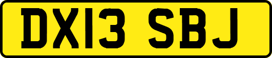 DX13SBJ