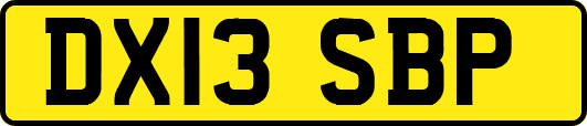 DX13SBP