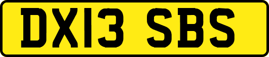 DX13SBS