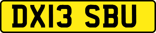 DX13SBU