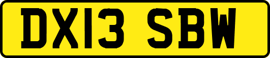DX13SBW