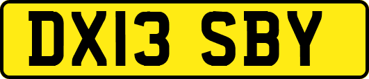 DX13SBY
