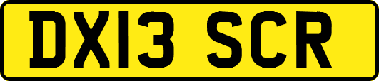 DX13SCR